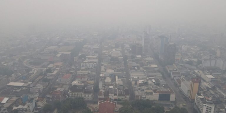 2023-10-13t161248z_1_lynxmpej9c0tt_rtroptp_4_brazil-amazon-drought-smoke.jpg