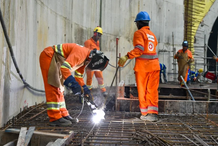 SP registra quase 25 milhões de ocupados em 2025; setor de Serviços e estabelecimentos com menos funcionários lideram contratações