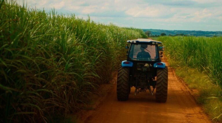 Como o Governo de São Paulo prepara o agro para o El Niño