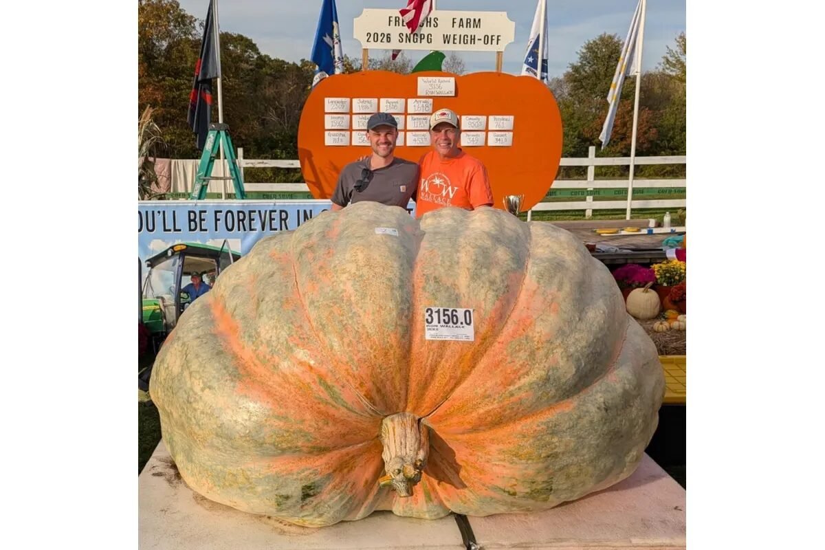 Abóbora de 1.500 kg bate recorde mundial e entra para o Guinness; fruto renderia 3 mil tortas