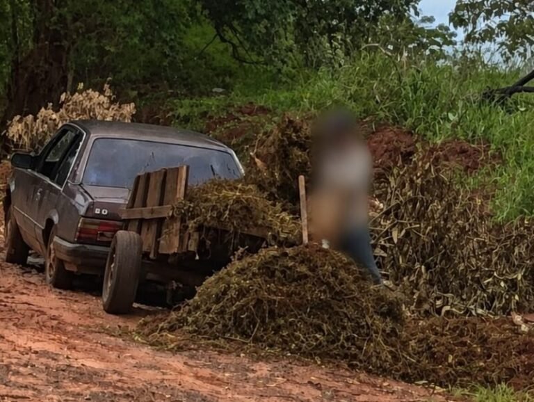 Descarte irregular pode gerar multa em Andradina