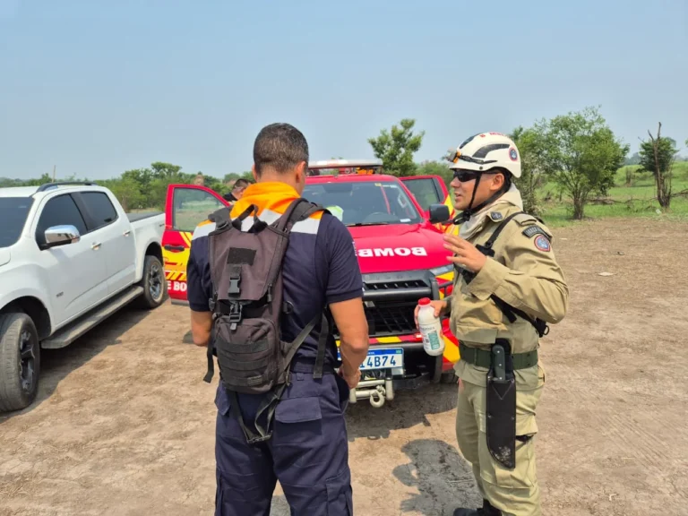 Força-tarefa do Governo de SP inicia combate direto a incêndios florestais no Amazonas