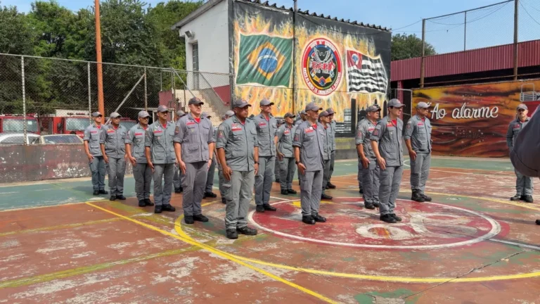 Bombeiros de SP enfrentam acesso difícil para combater incêndios em áreas atingidas pelo fogo no Amazonas
