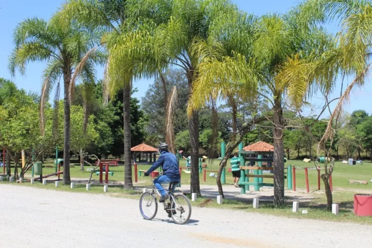 Operação El Niño: Governo de São Paulo adota protocolos preventivos para proteger visitantes de 12 parques urbanos em eventos climáticos extremos  