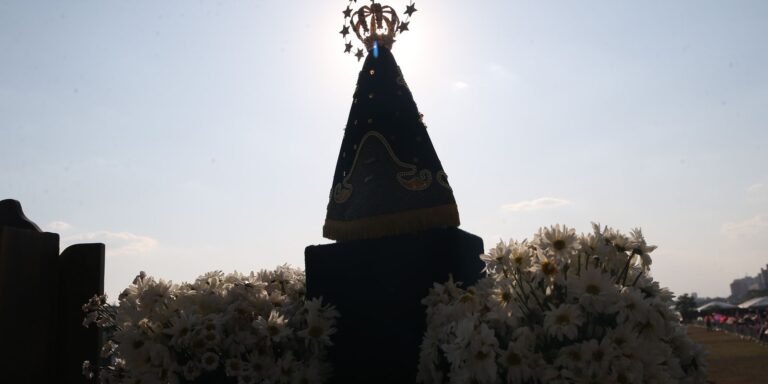 vac_abr_1210221298.jpg