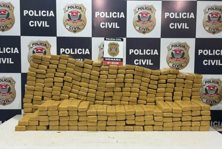 Irmãos são presos com mais de 350 kg de maconha na Rodovia dos Bandeirantes