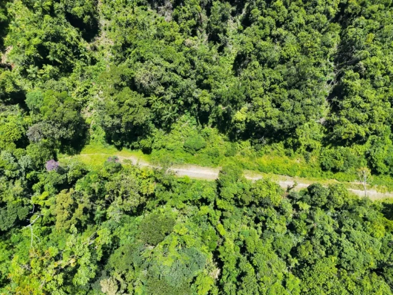 PM Ambiental usa drones e satélites para combater queimadas em SP