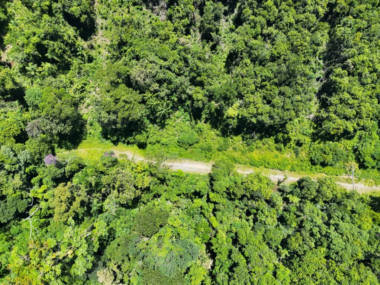 PM Ambiental usa drones e satélites para combater queimadas em SP